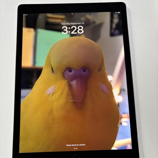 Apple iPad Pro 12.9 inch 1st Gen 2015 - Unlocked, 128 GB, Gray, A1652, 1st Gen 2015