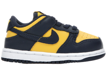 Nike Dunk Low Michigan (2021) (TD) for sale