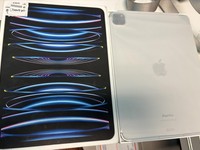 Apple iPad Pro 11" 4th Gen 2022