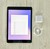 Mint Apple iPad 9th Gen - Wi-Fi, Gray, 256 GB, A2602