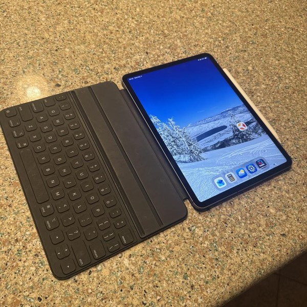 Apple iPad Pro 11 inch 3rd Gen 2021 - Unlocked, 256 GB, Gray