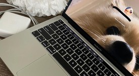 Good
													MacBook Pro 2020 - 13" - I5, Gray, 256 GB, 8 GB, photo 4 of 7
