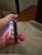 Mint Apple iPhone 11 Pro - Unlocked, Green, 64 GB, A2160
