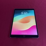 Mint Apple iPad Pro 10.5 inch - Verizon, Gray, 256 GB