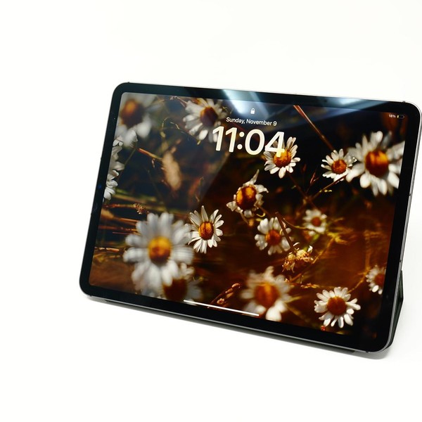 Apple iPad Pro 11 inch 3rd Gen 2021 - Unlocked, 256 GB, Gray