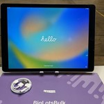 Mint Apple iPad Pro 12.9 inch 1st Gen 2015 - Unlocked, 128 GB, Silver, A1652, 1st Gen 2015