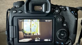 Mint
													Canon EOS 90D, photo 4 of 11