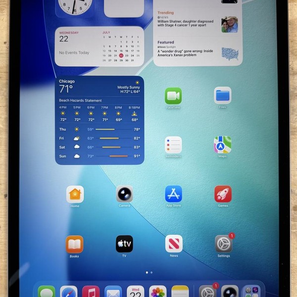 Apple iPad Pro 12.9 inch 4th Gen 2020 - Unlocked, 256 GB, Gray, A2069
