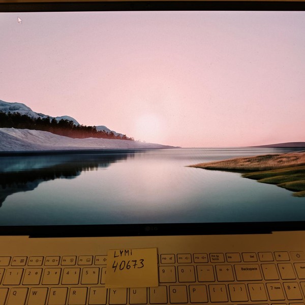 LG Gram Laptop