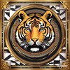 TigerTech
