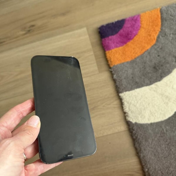 Apple iPhone 12 Pro Max - Verizon, 256 GB, Pacific Blue, A2342