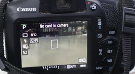 Mint
													Canon EOS Rebel T6, photo 1 of 6