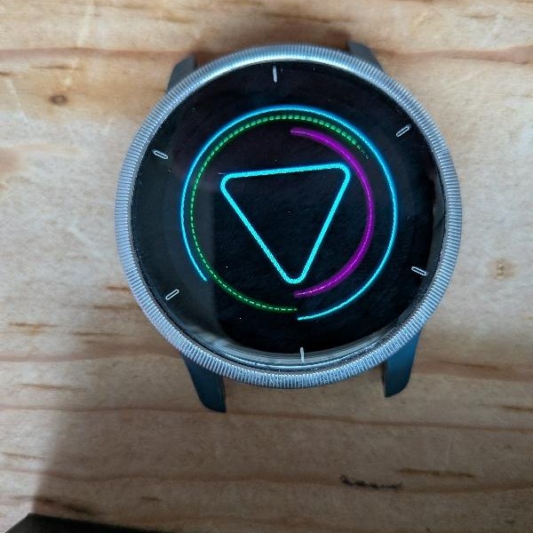 Garmin Venu 2 - Silver