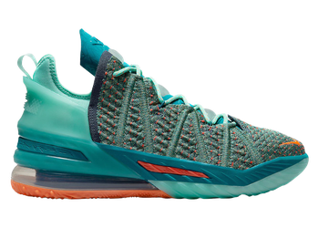 Nike LeBron 18 We Are Family for sale