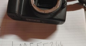 Mint
													Nikon D40, photo 2 of 4