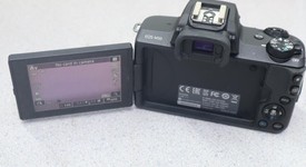 Mint
													Canon EOS M50, photo 2 of 12