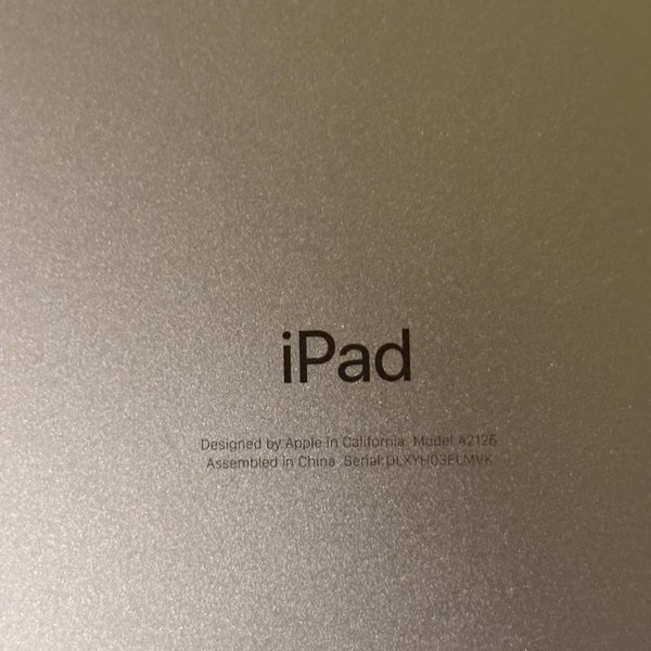 Apple iPad Mini 5th Gen - Unlocked, 256 GB, Silver