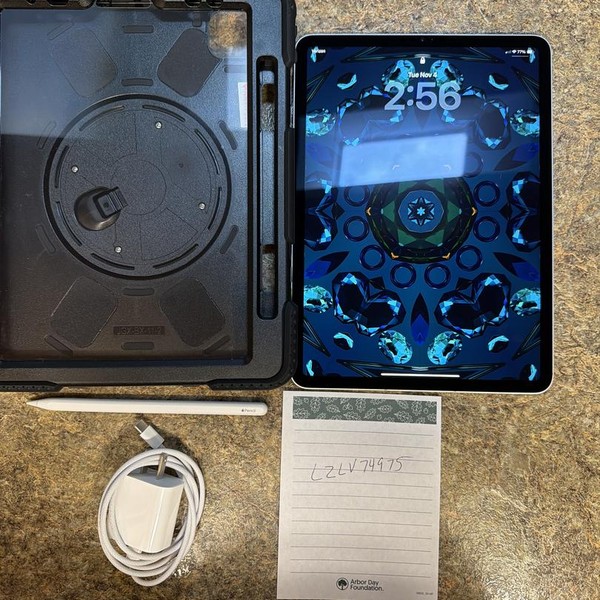 Apple iPad Pro 11 inch 4th Gen 2022 - Unlocked, 128 GB, Silver