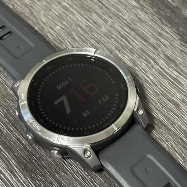 Garmin Fenix 7 - Silver, Standard