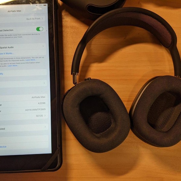 Apple AirPods Max - Gray