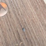 Good Motorola Razr Ultra (2025) - Unlocked, 512 GB, PANTONE Mountain Trail, 16 GB