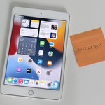 Good Apple iPad Mini 4 - Wi-Fi, 32 GB, Silver