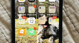 Mint
													Apple iPhone 11 - Unlocked, Black, 64 GB, A2111, photo 1 of 9