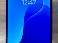 Apple iPad Pro 12.9" 6th Gen 2022