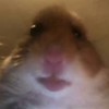 A A.