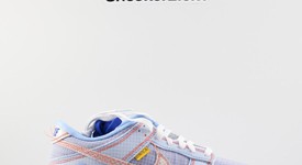 New
													Nike Dunk Low Union Passport Pack Argon - 4, photo 1 of 9
