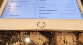 Mint
													Apple iPad Mini 5th Gen - Unlocked, Silver, 64 GB, photo 5 of 5