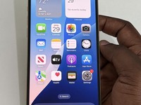 Apple iPhone 12 Pro Max