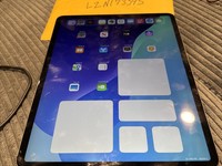Apple iPad Pro 12.9" 4th Gen 2020