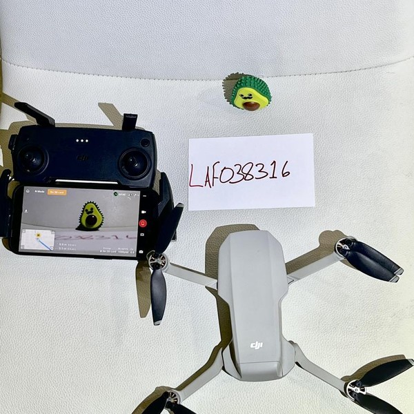 DJI Mavic Mini