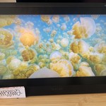 Good Wacom Cintiq 16