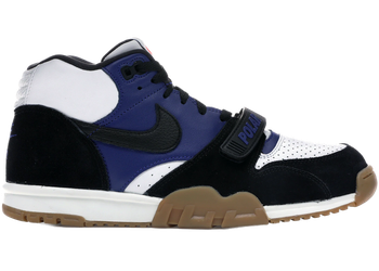 Nike SB Air Trainer 1 Polar Skate Co for sale