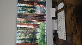 Mint
													iMac 2021 24" - Apple M1, Silver, 1 TB, 16 GB, photo 3 of 6