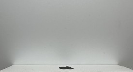 New
													Apple iPhone 16e - AT&T, Black, 128 GB, A3212, photo 3 of 4