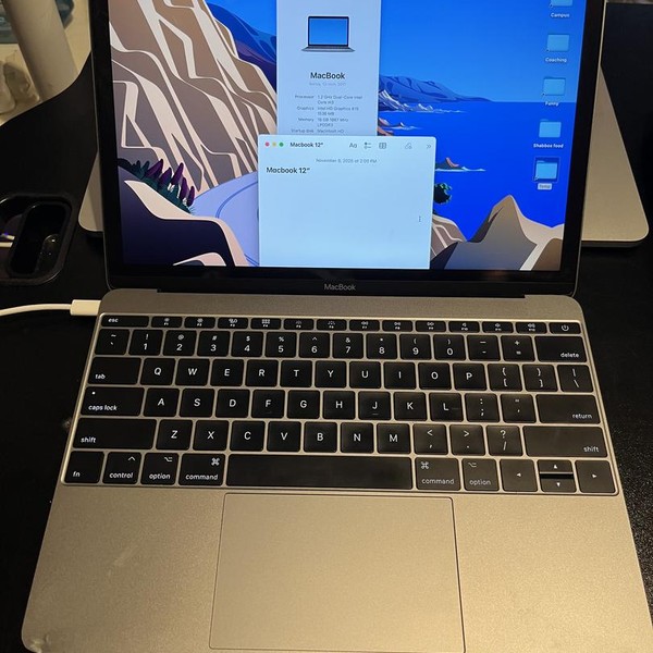 Macbook Retina 2017 - 12 inch - 256 GB, Gray, 16 GB, Intel Core m3