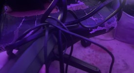 Good
													Logitech G29 Driving Force Racing Wheel, photo 2 of 5