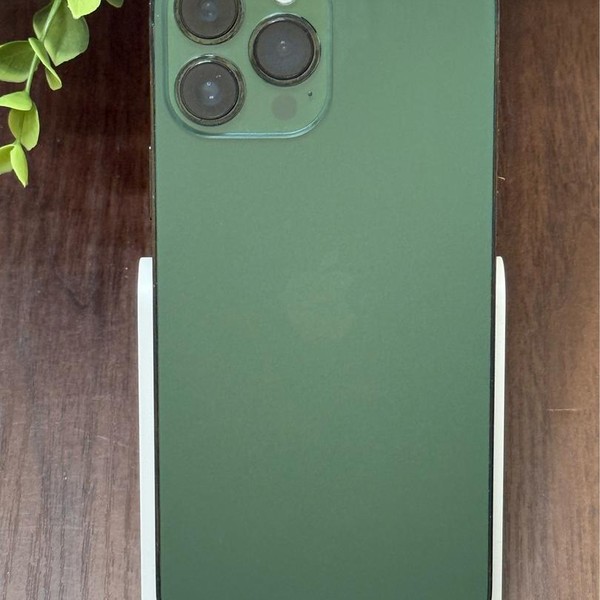 Apple iPhone 13 Pro Max - Unlocked, Green, 1 TB, A2484