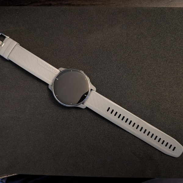 Garmin Venu 2 Plus - Silver