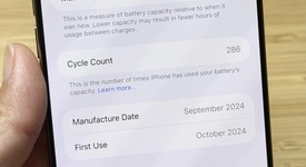 Mint
													Apple iPhone 16 Pro Max - Unlocked, Desert, 256 GB, A3084, photo 5 of 14