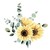 Seller: Eleanor M.