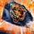 Seller: BearFan54