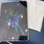 Mint Apple iPad Mini (7th Gen) - Wi-Fi, 128 GB, Gray, A2993