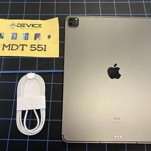 Apple iPad Pro 12.9 inch 5th Gen 2021 - Unlocked, Gray, 256 GB