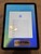Mint Apple iPad 10th Gen - Wi-Fi, Blue, 64 GB, A2696