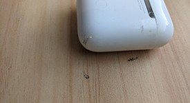Used
													Apple AirPods 2nd Gen - Lightning Case, photo 4 of 9