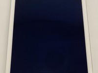 Apple iPad Air 2